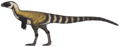 Thumbnail for version as of 20:34, 24 February 2025