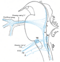 Thumbnail for version as of 05:01, 29 January 2006