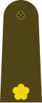 Thumbnail for version as of 20:04, 25 August 2017