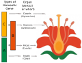 Thumbnail for version as of 09:26, 18 October 2017