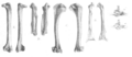 Thumbnail for version as of 05:49, 29 December 2009
