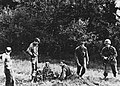 Thumbnail for version as of 08:47, 7 September 2009