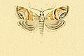 Thumbnail for version as of 17:01, 19 March 2012