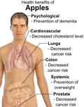 Thumbnail for version as of 16:02, 21 April 2009