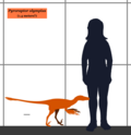 Thumbnail for version as of 10:10, 17 March 2011