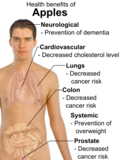 Thumbnail for version as of 18:52, 9 March 2010