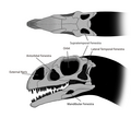 Thumbnail for version as of 21:41, 25 March 2014