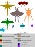 Thumbnail for version as of 23:13, 24 March 2026