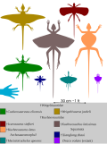 Thumbnail for version as of 17:05, 25 March 2026