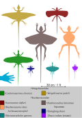 Thumbnail for version as of 17:45, 27 March 2026