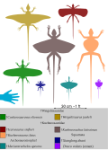 Thumbnail for version as of 17:54, 27 March 2026