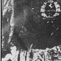 Thumbnail for version as of 03:36, 7 December 2020