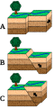 Thumbnail for version as of 00:46, 9 July 2025