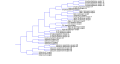 Thumbnail for version as of 23:14, 12 May 2009