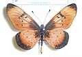 Thumbnail for version as of 09:10, 6 April 2016