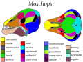 Thumbnail for version as of 19:55, 18 May 2026