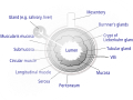 Thumbnail for version as of 14:28, 18 February 2008