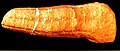 Thumbnail for version as of 21:01, 6 July 2008