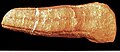 Thumbnail for version as of 22:43, 6 July 2008
