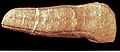 Thumbnail for version as of 21:15, 3 July 2015