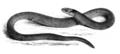 Thumbnail for version as of 21:08, 10 July 2015