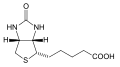 Thumbnail for version as of 17:55, 24 August 2009