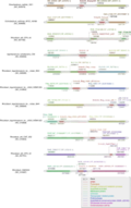 Thumbnail for version as of 05:00, 2 June 2016