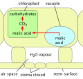 Thumbnail for version as of 09:44, 4 March 2012