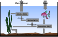 Thumbnail for version as of 10:53, 29 October 2007