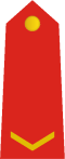 Thumbnail for version as of 11:15, 19 March 2021