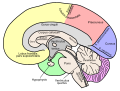Thumbnail for version as of 16:34, 26 August 2011