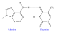 Thumbnail for version as of 19:41, 10 May 2007