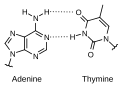 Thumbnail for version as of 09:39, 17 February 2021