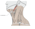 Thumbnail for version as of 11:51, 8 July 2007