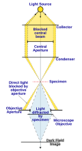 Thumbnail for version as of 19:13, 2 September 2022