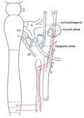 Thumbnail for version as of 11:39, 18 May 2006