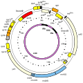 Thumbnail for version as of 02:46, 15 September 2022