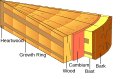 Thumbnail for version as of 17:06, 20 February 2026