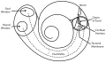 Thumbnail for version as of 22:48, 4 October 2010