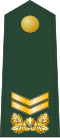 Thumbnail for version as of 14:47, 16 June 2021
