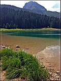 Thumbnail for version as of 14:34, 11 June 2017