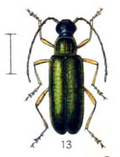 Thumbnail for version as of 16:04, 16 December 2009