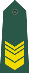 Thumbnail for version as of 19:09, 4 June 2017