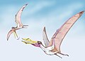 Thumbnail for version as of 11:02, 9 April 2021