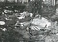 Thumbnail for version as of 04:30, 5 October 2016