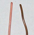 Thumbnail for version as of 10:34, 5 August 2012