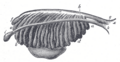 Thumbnail for version as of 21:20, 23 January 2007