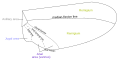 Thumbnail for version as of 14:44, 24 April 2011