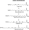 Thumbnail for version as of 14:54, 21 April 2009