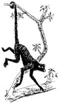 Thumbnail for version as of 21:37, 20 April 2008